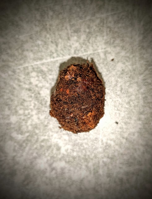 Cetonia aurata - aranyos virágbogár